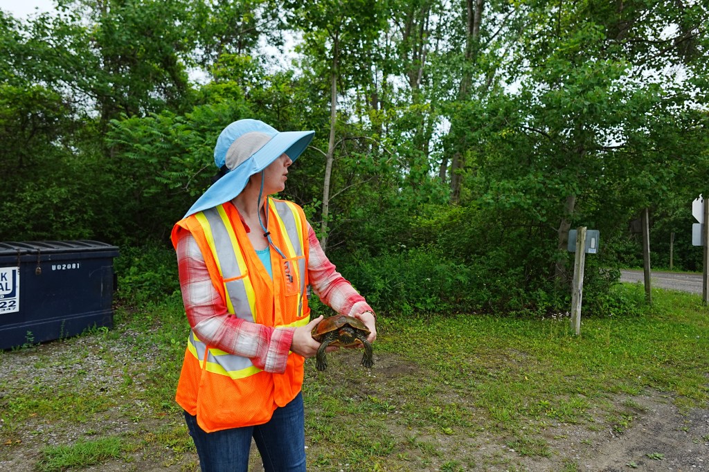 The Guardians of the Marsh: Long Point Biosphere&nbsp;Region